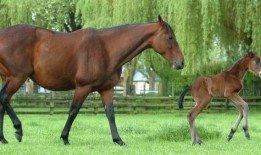 氯胺酮会让你尿裤子，情况可能会变得更糟