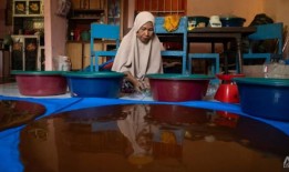 2024年印尼大选：是佐科威支持的候选人还是类似佐科威的候选人——这是苏门答腊选民的两难选择