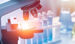 先有鸡还是先有蛋？科学家们已经解开了这个谜题