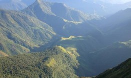 食肉的飞碟生物——长着“刀刃状”的牙齿——是一个新物种