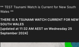 气象局“海啸预警”测试引发大规模混乱