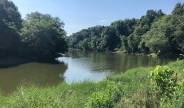 泰森污水泄漏5年后，鱼类缓慢返回伯明翰北部的河流