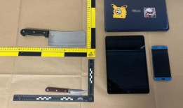 在联邦大道上，5人帮助警方逮捕了一名挥舞直升机的男子;没有迹象表明这是恐怖袭击