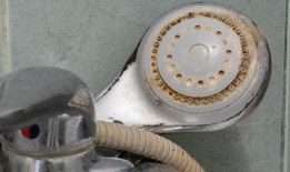 淋浴头的水垢与专家最爱的“头号天然清洁产品”一起溶解