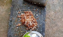 Mayurbhanj Kai Chutney：从森林到全球食物表