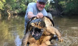 阿拉巴马州最奇怪的动物：我们做对了吗？