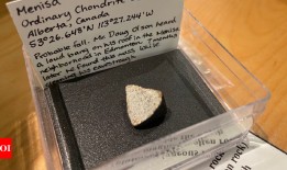 埃德蒙顿居民在雨沟中发现了罕见的陨石