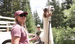 泥石流关闭了格伦伍德斯普林斯以南的科罗拉多82号高速公路