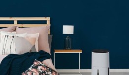 家庭问答：何时及如何使用除湿机？