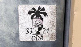 这个非官方的纳粹灵感的绿色贝雷帽标志的第三组根源