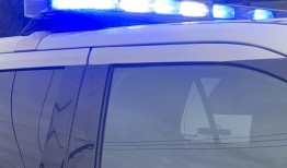 奥本女子被指控非法追踪分居的丈夫，持有大型动物镇静剂