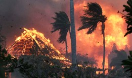 毛伊岛火灾现场更新：发现更多受害者，死亡人数攀升至53人