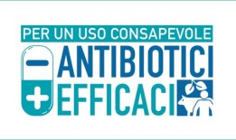 抗生素耐药性，培训计划