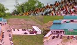 色素水稻产量增加