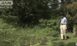 歌舞伎中最具争议的戏剧