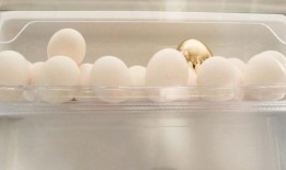 把所有的鸡蛋放在一个篮子里的投资案例