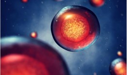 研究揭示怀孕期间糖尿病对婴儿心脏的影响