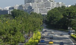 COE价格大多收低;B类下跌近1万新元