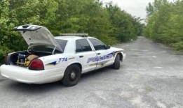 在伯明翰西南部偏远的树林里发现了一具女性尸体