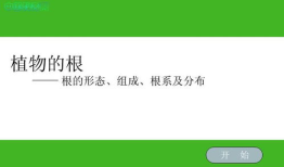 拔苗助长ppt,育苗秘诀：拔苗助长背后的科学策略