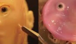 日本科学家制造出具有真正“人类”皮肤的微笑机器人